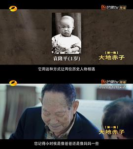 杂交水稻之父袁隆平 - 第4集完结_故事结构_德厚爱影-影视介绍